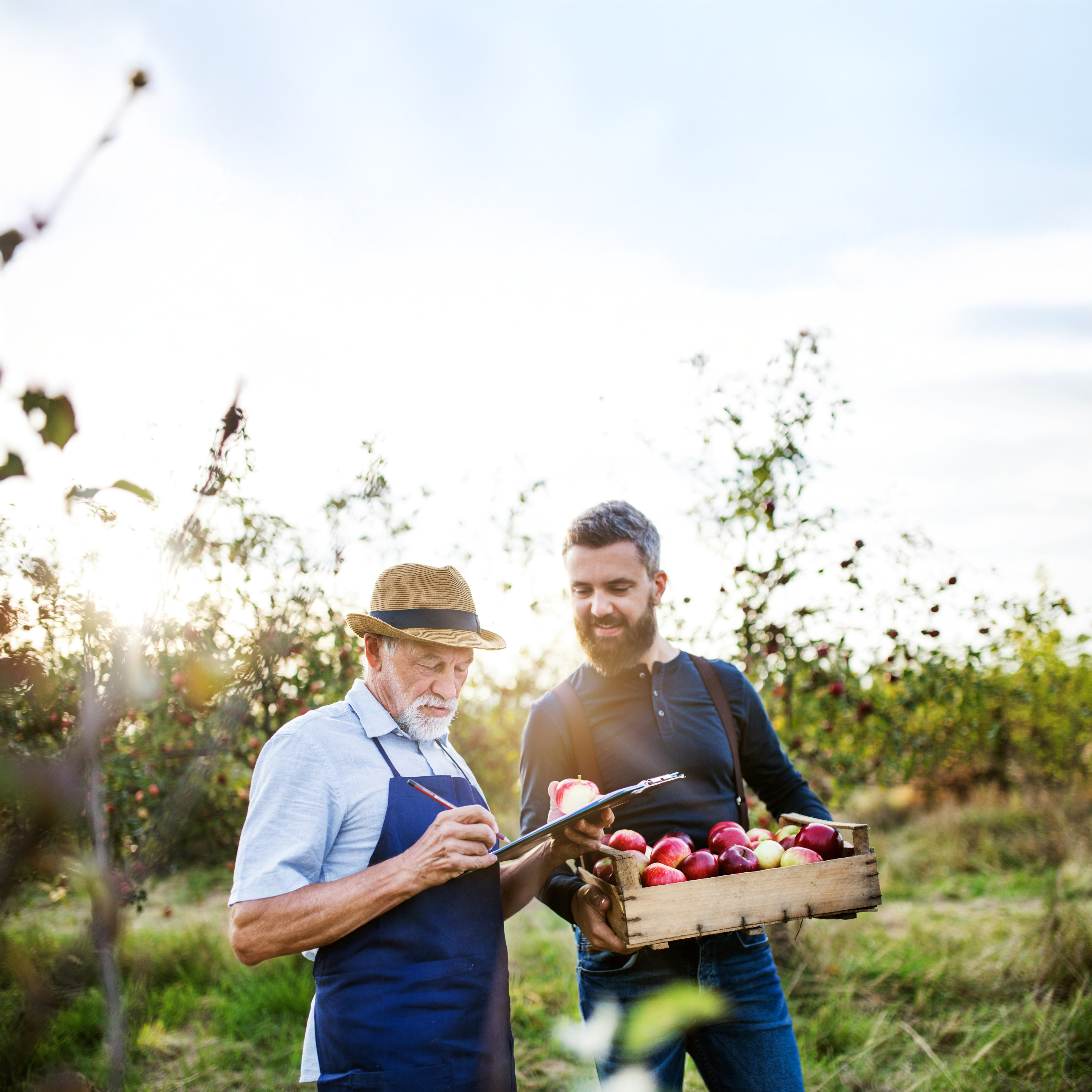 Credite pentru afaceri