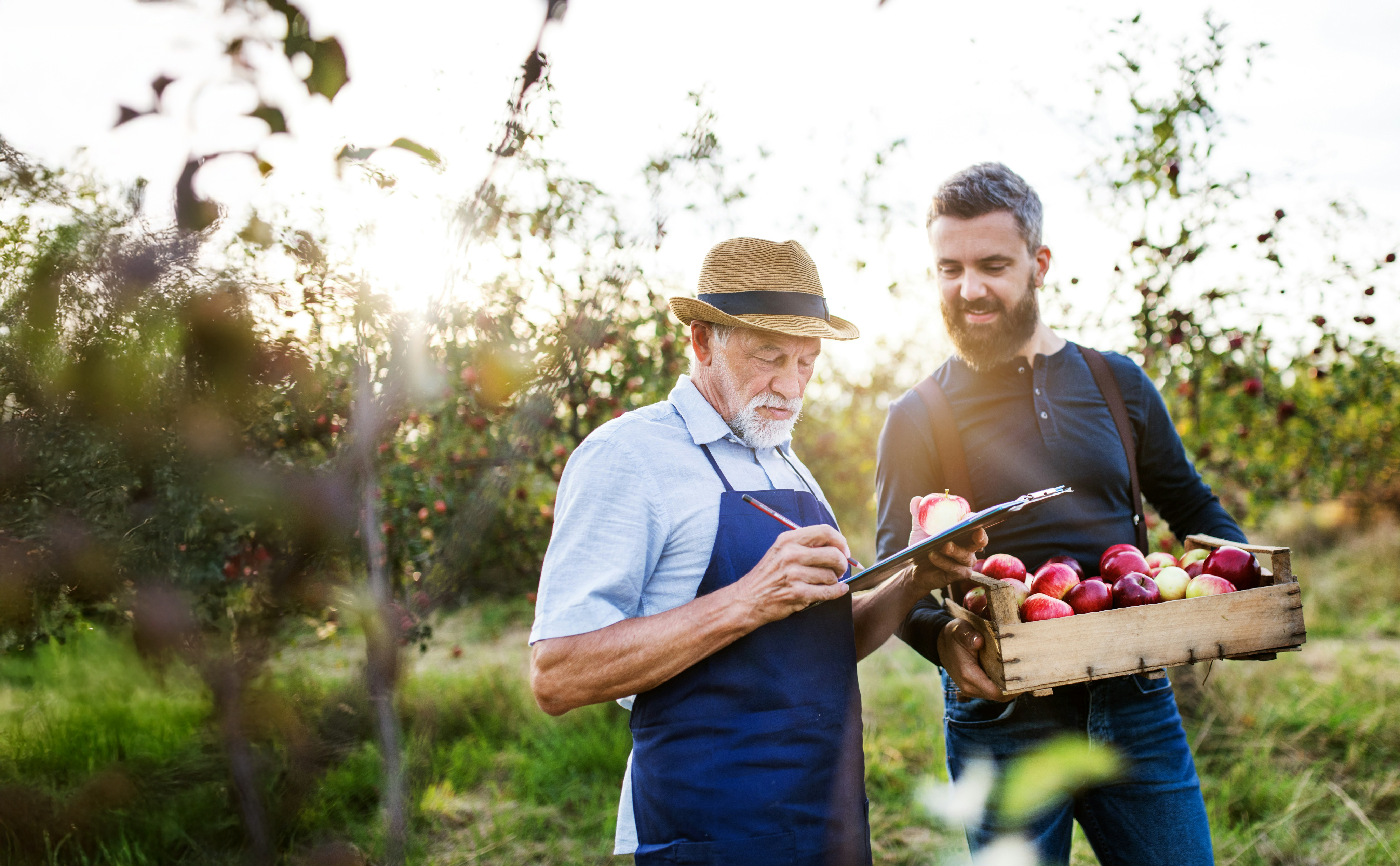 Credite pentru afaceri